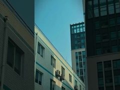 উচ্চ নির্ভুলতা কার্বাইড টুল